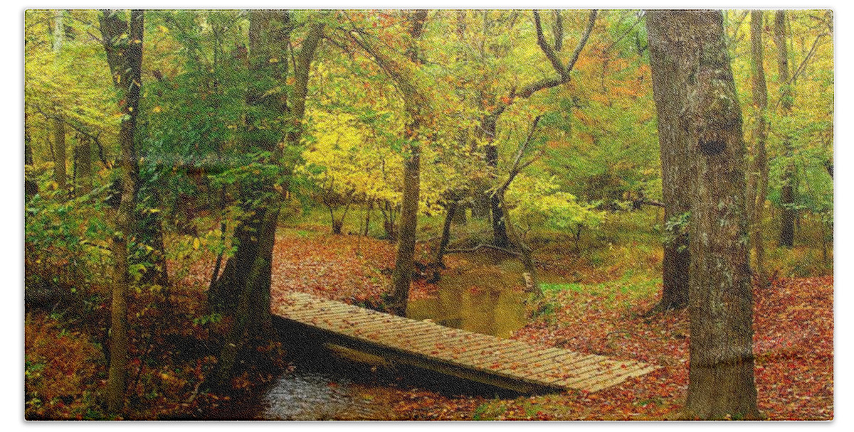 Autumn Landscapes Hand Towel featuring the photograph There Is Peace - Allaire State Park by Angie Tirado