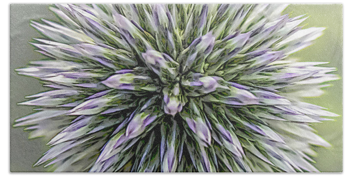 Nature Bath Towel featuring the photograph Thistle II by Robert Mitchell