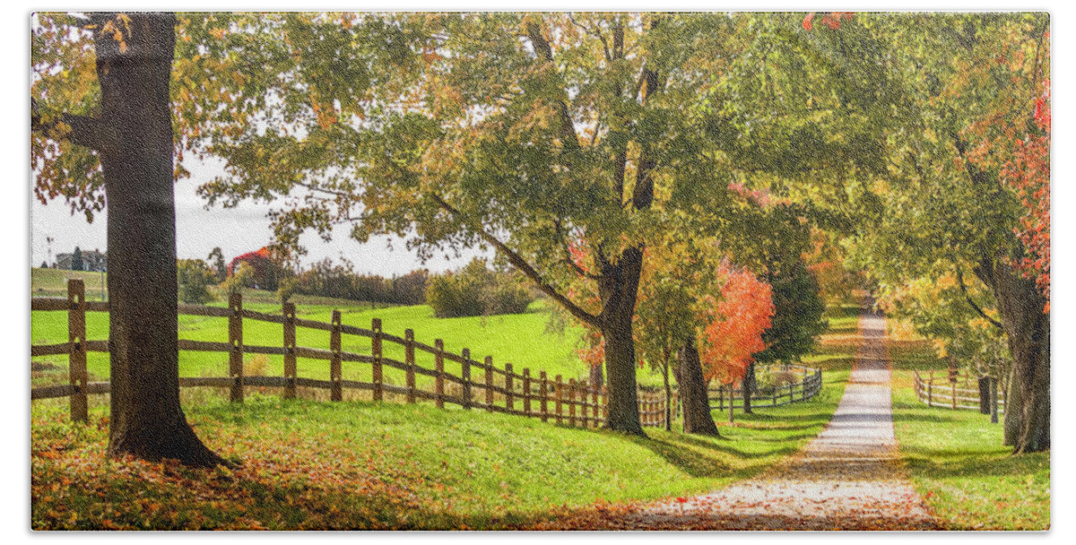 Farm Hand Towel featuring the photograph Thomas Farm Lane by Andy Smetzer