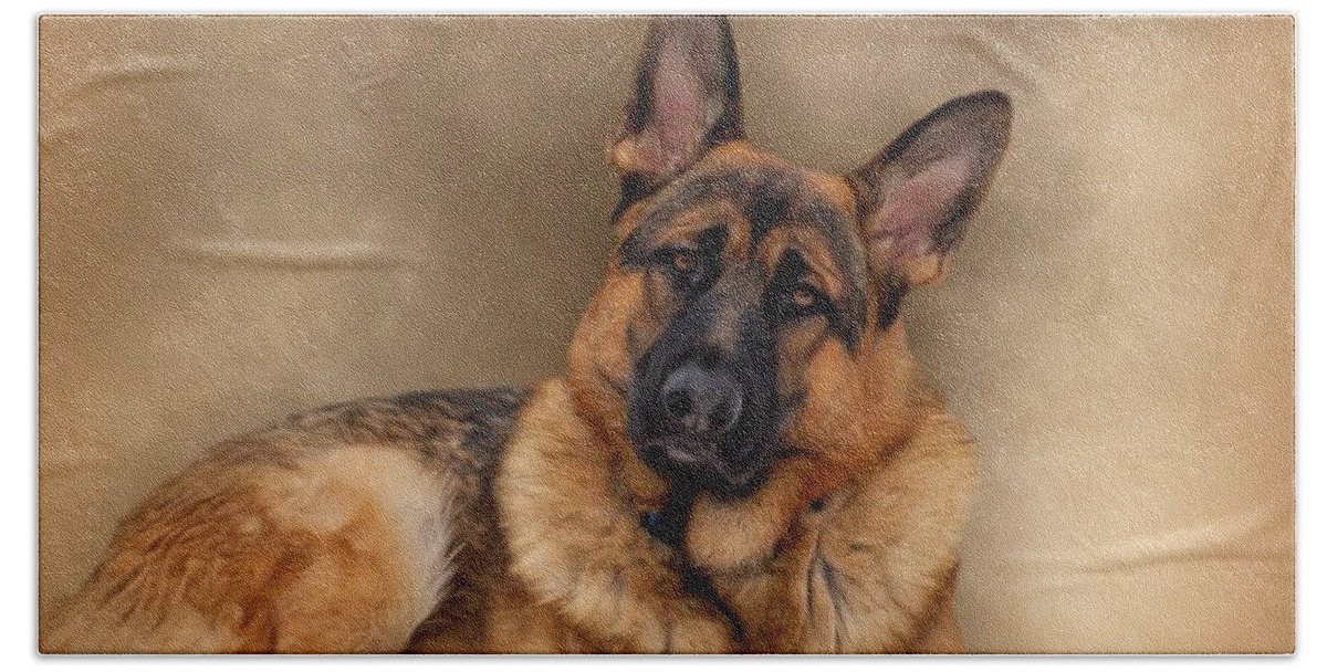 Dogs Bath Towel featuring the photograph Those Eyes by Sandy Keeton