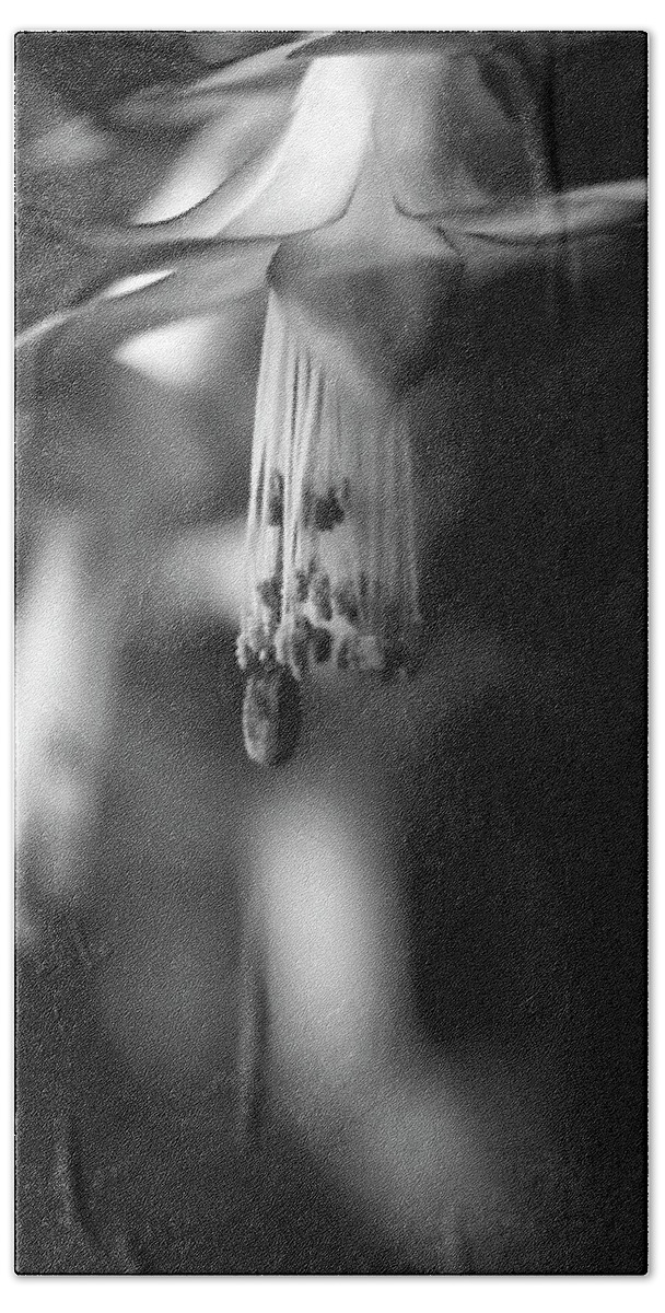 Cactus Bath Towel featuring the photograph Thou Art Beautiful by Theresa Tahara