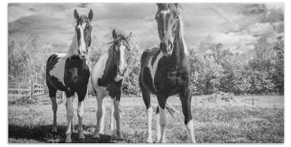 Horses Bath Towel featuring the photograph Three Amigos by Holly Ross