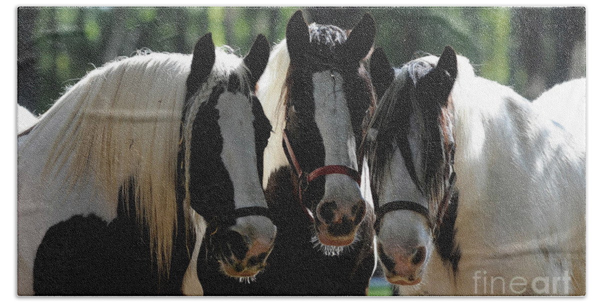 Gypsy Gold Hand Towel featuring the photograph Three Gypsy Vanner mares by Carien Schippers