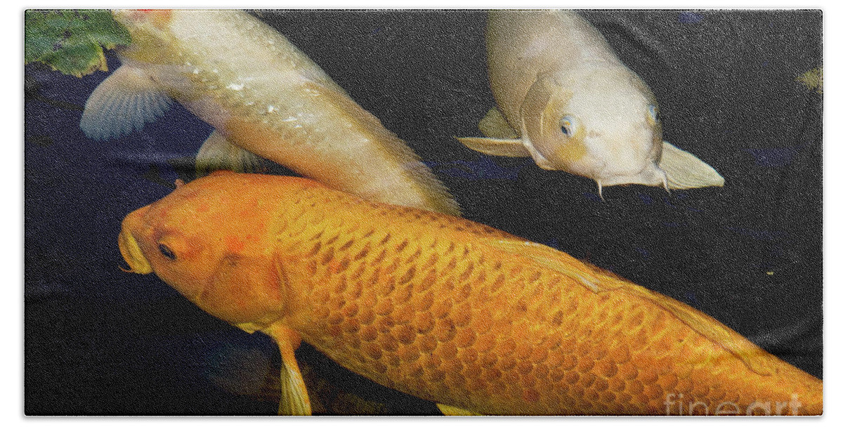 Koi Bath Towel featuring the photograph Three Large Koi by Sherry Curry