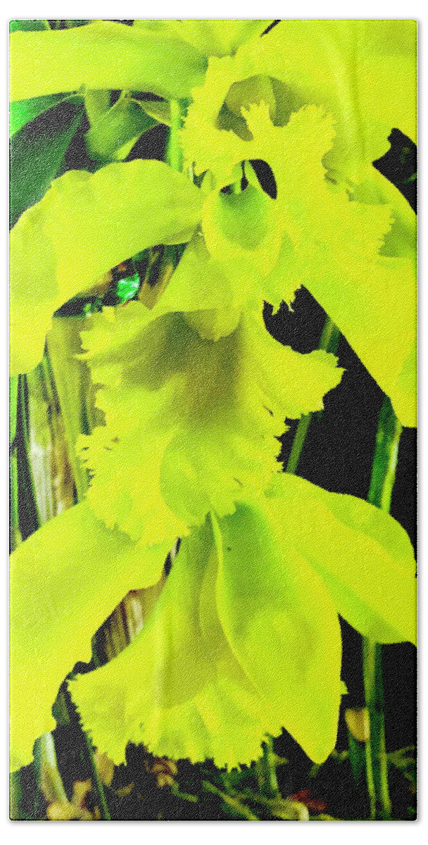 #three #orchids #yellow #flowersofaloha #flowerpower #flowers #aloha #2017 #hiloorchidshow Hand Towel featuring the photograph Three Orchids in Yellow by Joalene Young