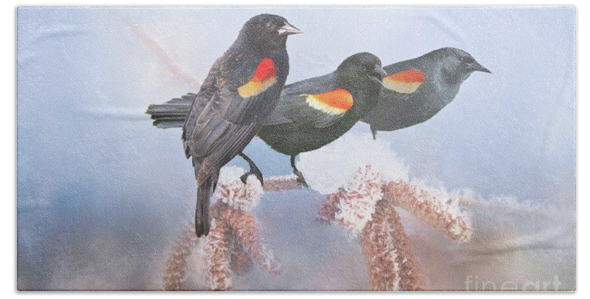 Blackbirds Hand Towel featuring the photograph Three Red-Winged Blackbirds in a Row by Janette Boyd