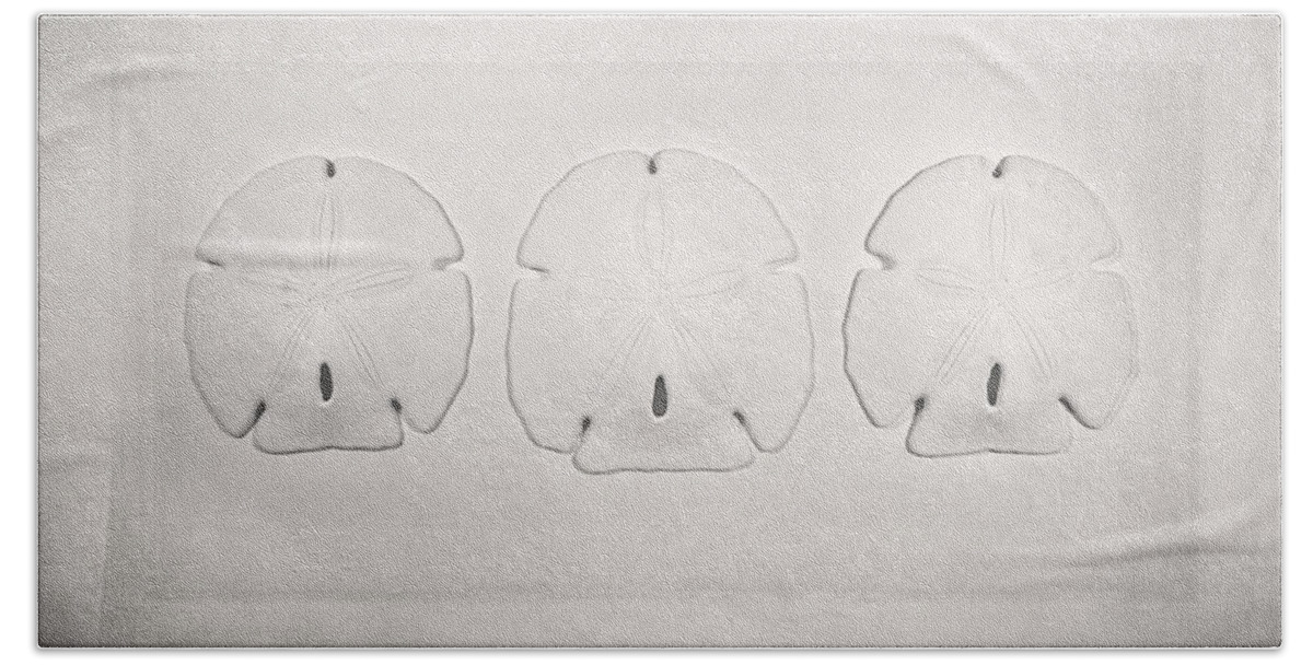 Scott Norris Photography Bath Sheet featuring the photograph Three Sand Dollars by Scott Norris