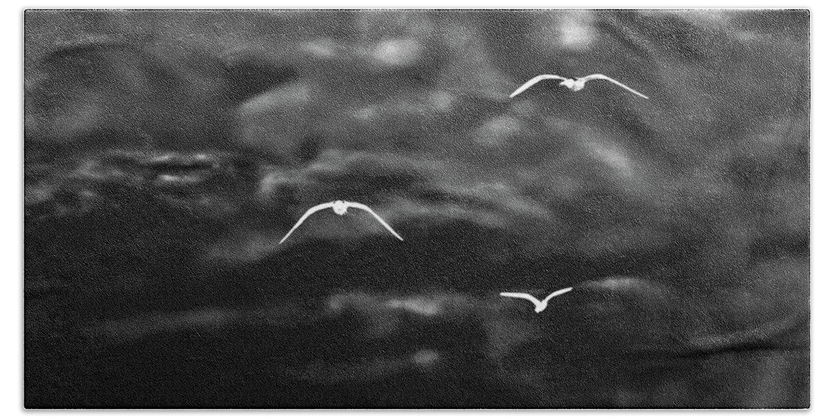 Seagulls Bath Towel featuring the photograph Three Seagulls by Gina O'Brien