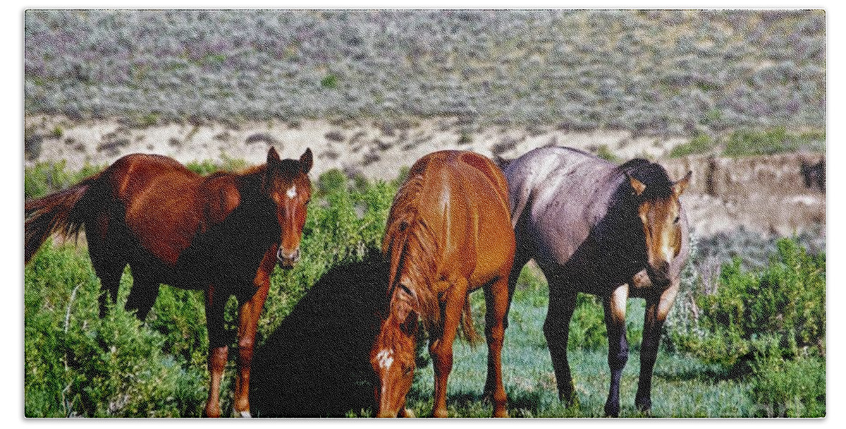 Horses Bath Towel featuring the photograph Three Together by Merle Grenz