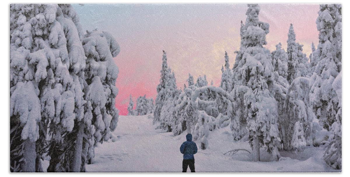 Sky Hand Towel featuring the photograph Through a Snow Covered Forest by Roberta Kayne