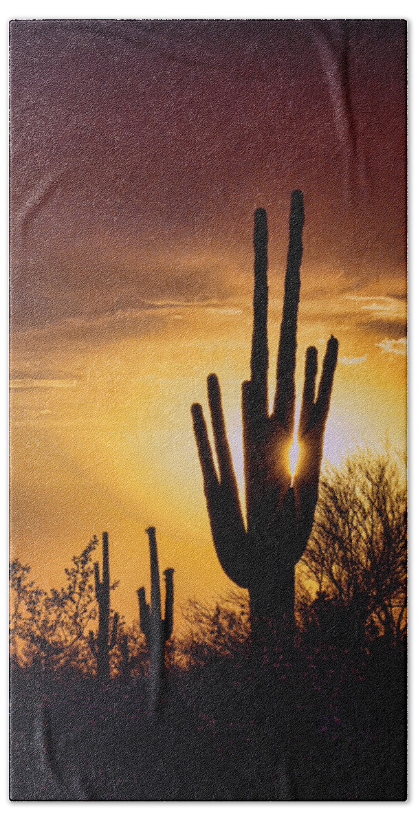 Saguaro Sunset Bath Towel featuring the photograph Through the Arms of the Saguaro by Saija Lehtonen