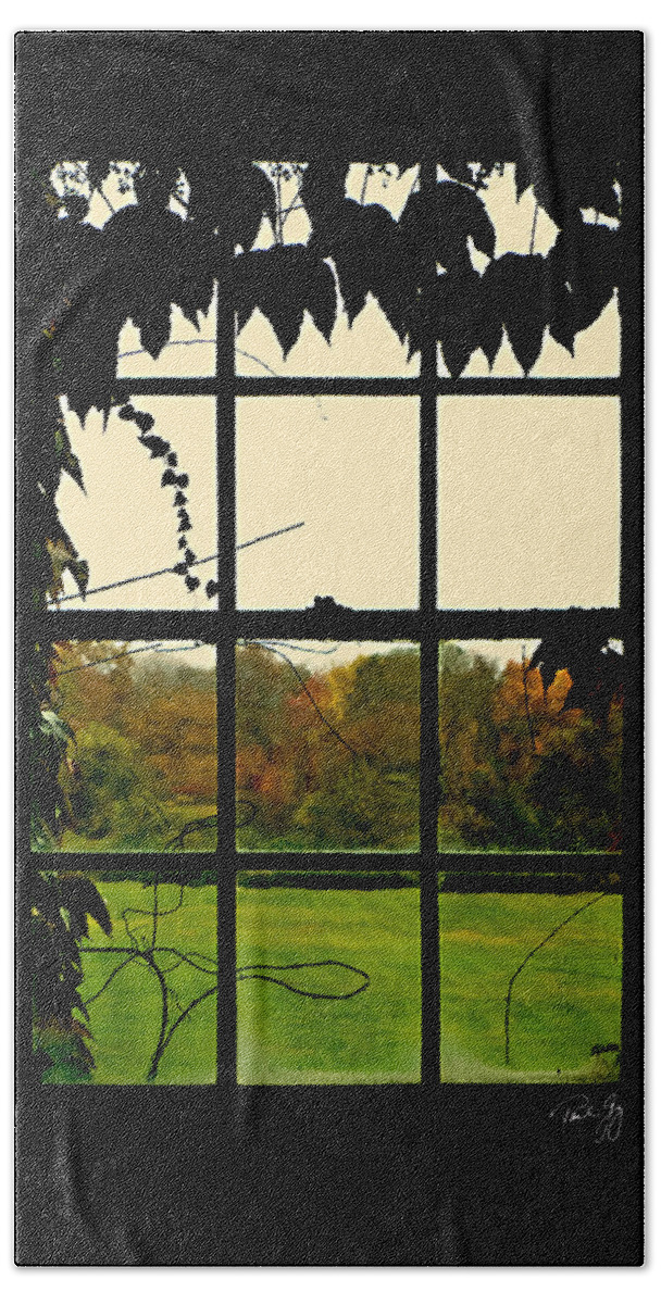 Window Bath Towel featuring the photograph Through the Window by Paul Gaj