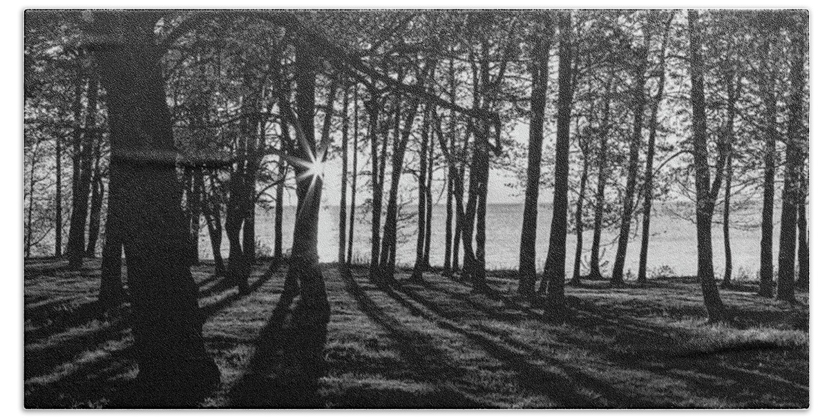 Trees Bath Towel featuring the photograph Thru the Trees by Rod Best