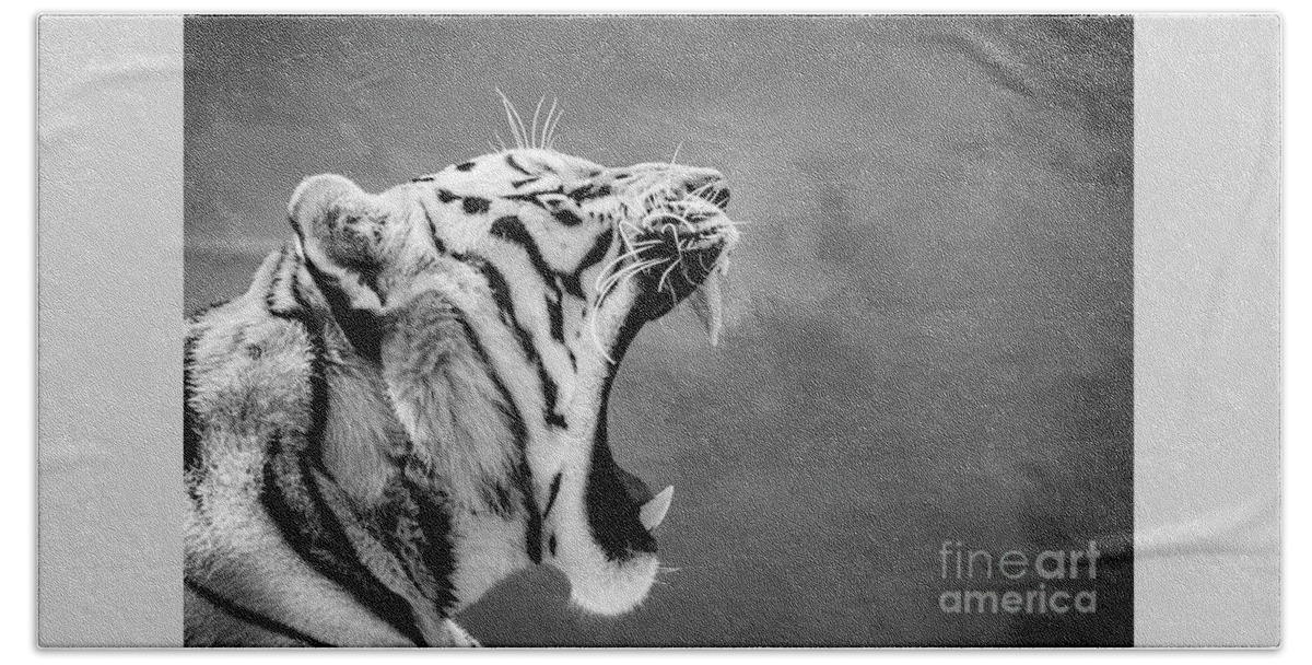 Tigers Bath Towel featuring the photograph Tiger profile BW by Joseph Miko