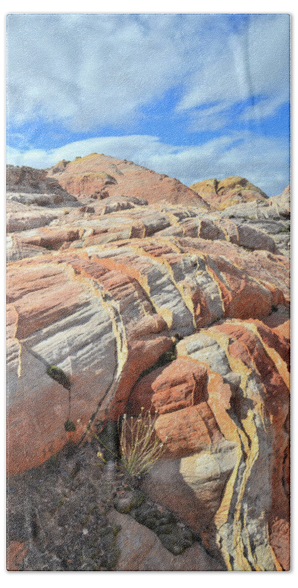Valley Of Fire State Park Bath Towel featuring the photograph Tiger Stripes in Valley of Fire by Ray Mathis