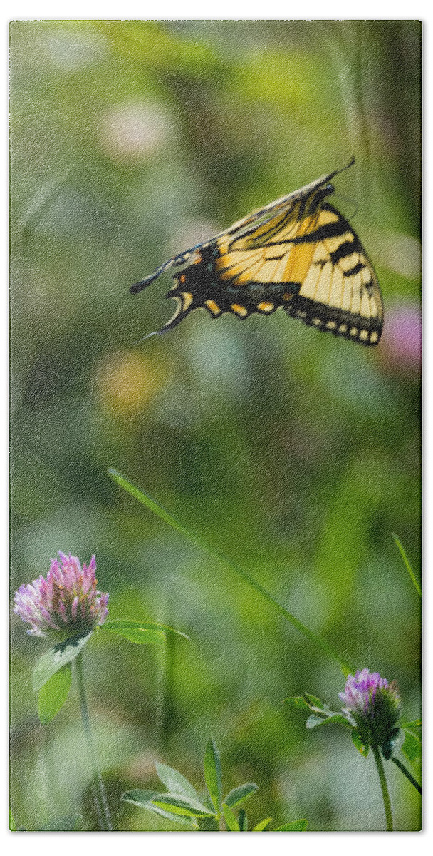 Tiger Swallowtail Butterfly In Flight Hand Towel featuring the photograph Tiger Swallowtail Butterfly In Flight by Holden The Moment