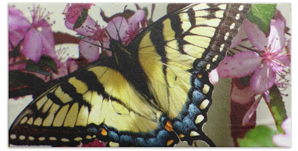 Butterfly Bath Towel featuring the photograph Tiger Swallowtail Butterfly by Jean Wright
