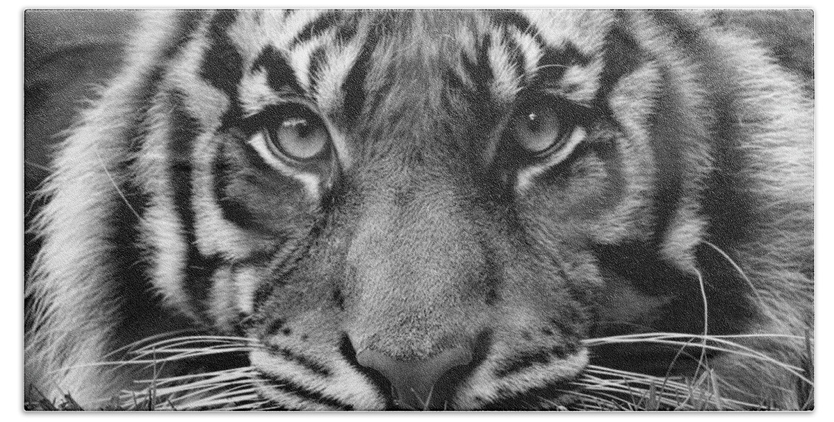 Tiger Bath Towel featuring the photograph Tigers Stare by Steve McKinzie