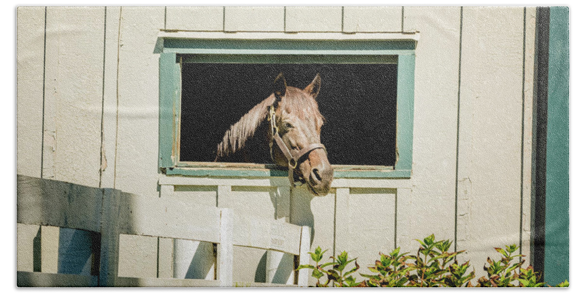 Horse Bath Towel featuring the photograph Time for a Tan by Pamela Williams