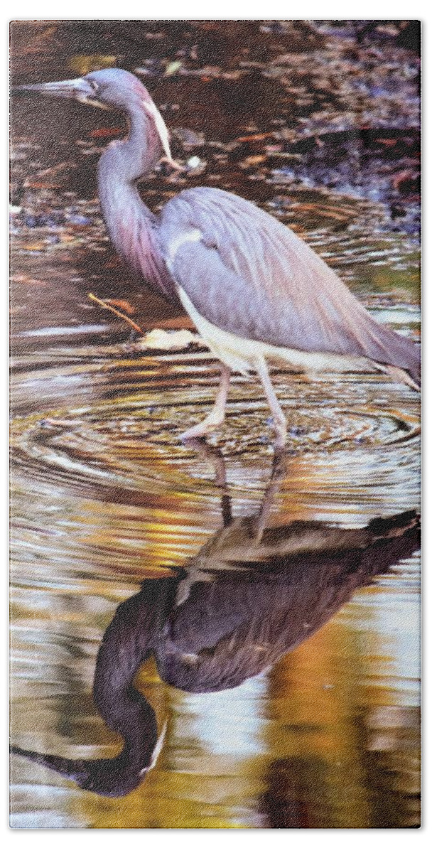Tricolored Heron Bath Towel featuring the photograph Time for Reflection in Hilton Head by Mary Ann Artz