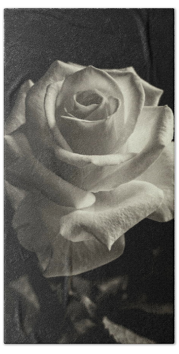 Rose Bath Towel featuring the photograph Tinted Rose by Jeff Townsend