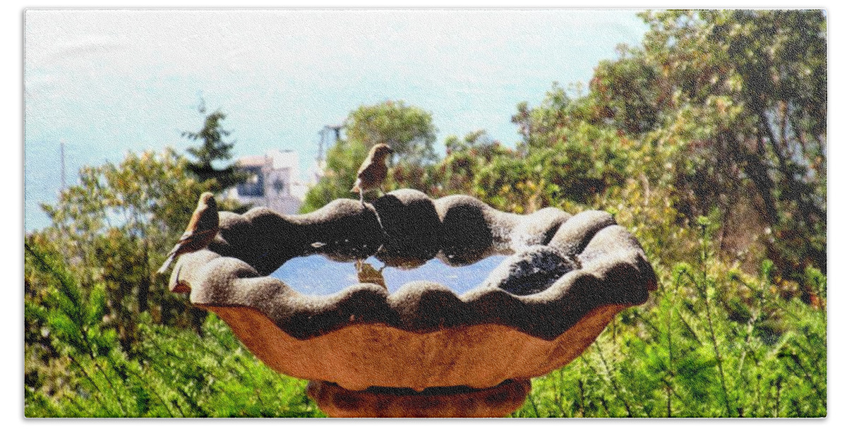 Birds Bath Towel featuring the photograph Tiny Birds Bathing by A L Sadie Reneau