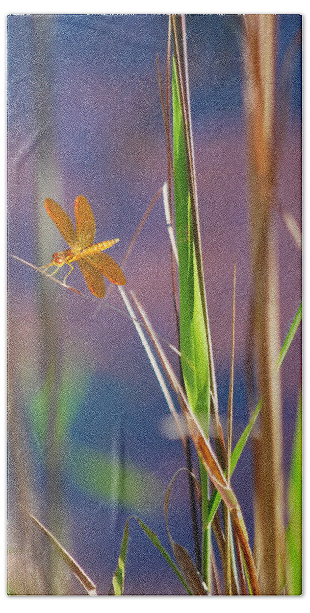 Dragon Fly Bath Towel featuring the photograph Tiny Dancer by Adele Moscaritolo