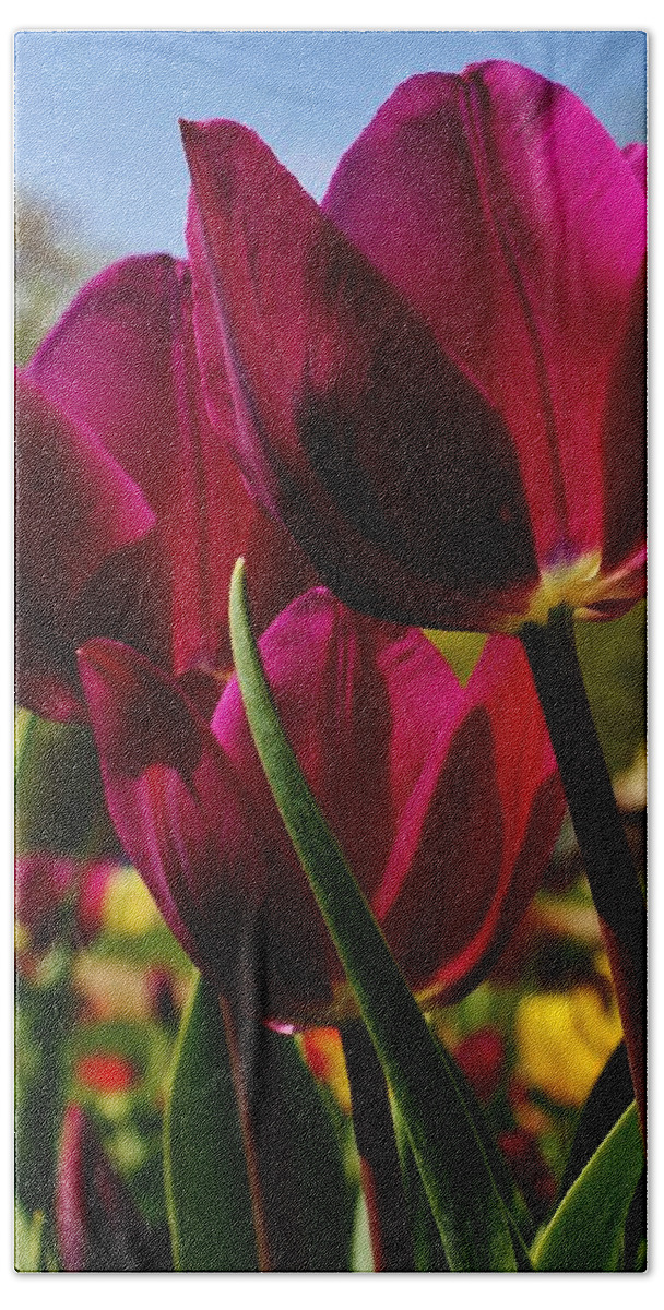 Flora Bath Towel featuring the photograph Tip Toe through the Tulips by Bruce Bley