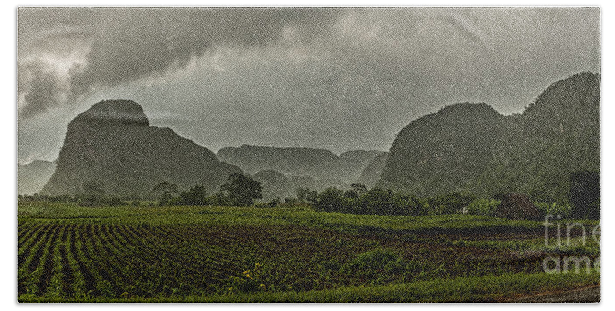 Panoramic Bath Towel featuring the photograph Tobacco plantation under the rain by Jose Rey