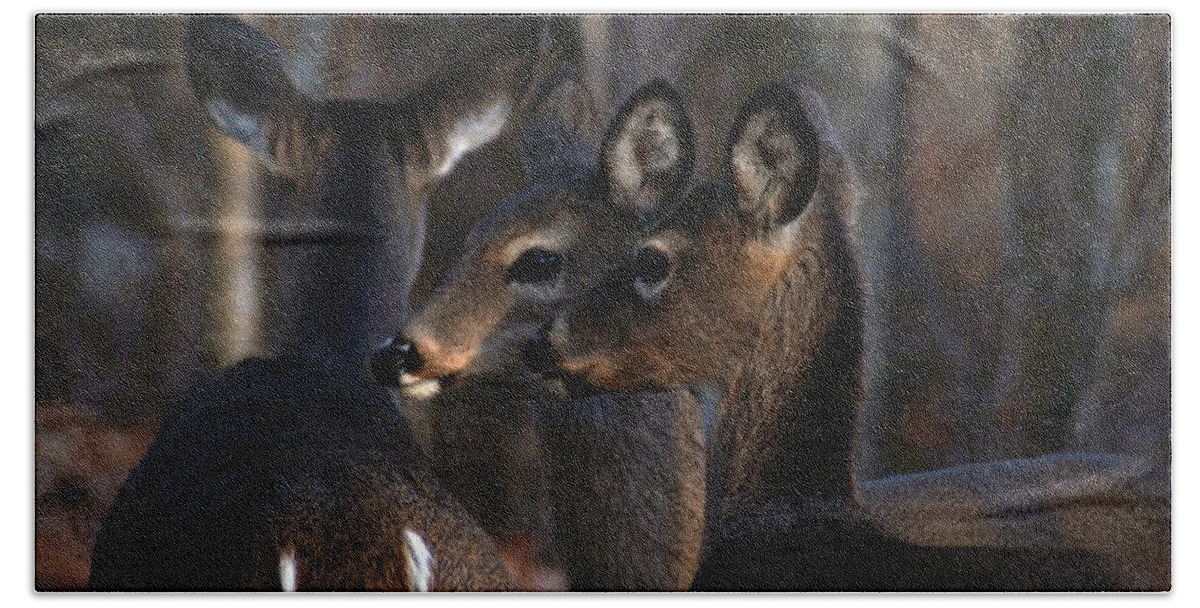 Deer Bath Towel featuring the photograph Together by Bill Stephens