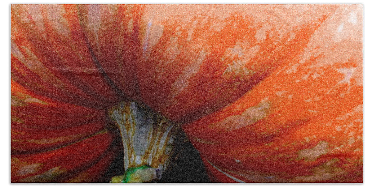 Pumpkin Hand Towel featuring the photograph Top Heavy by Lori Lafargue