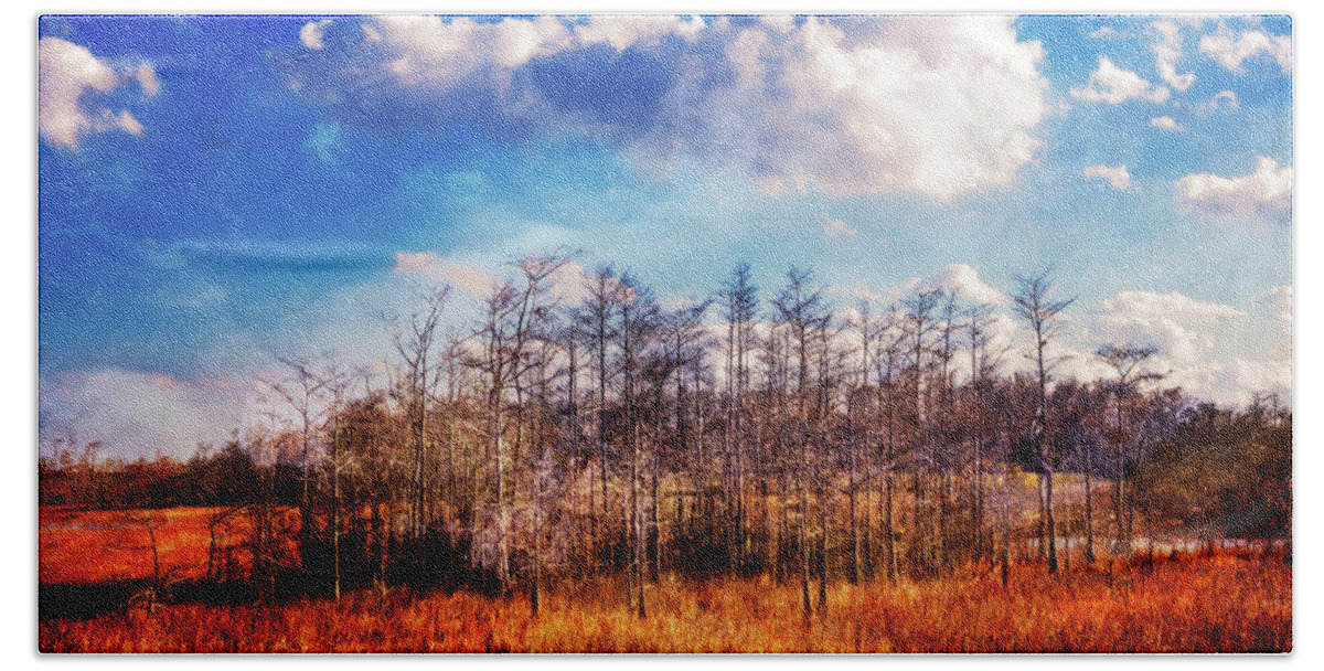 Clouds Bath Towel featuring the photograph Touch of Autumn in the Glades by Debra and Dave Vanderlaan