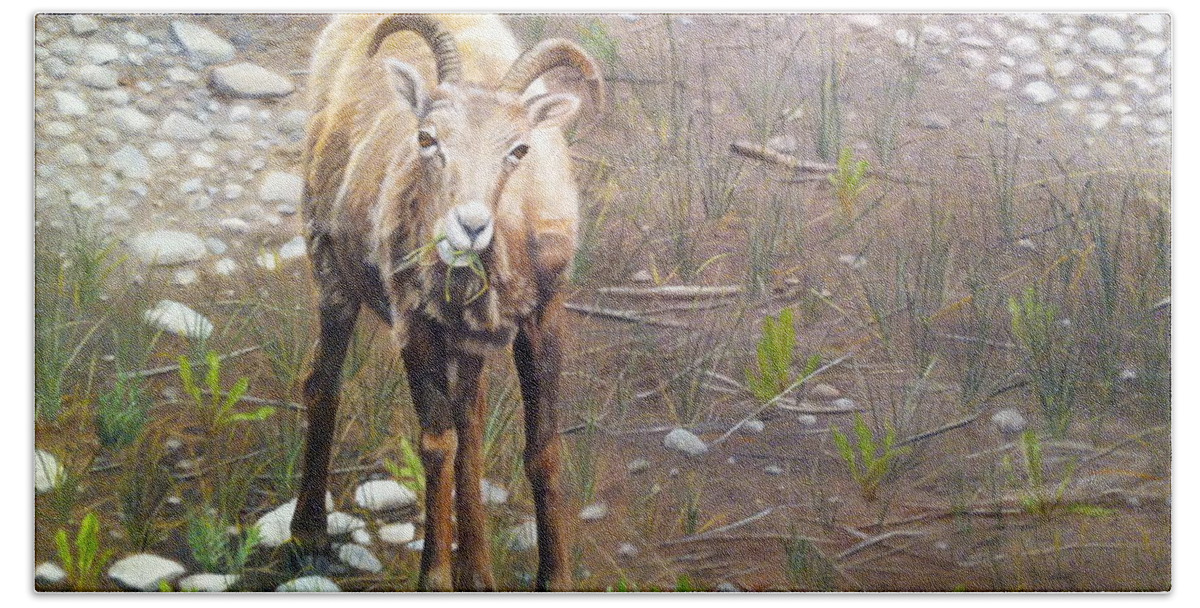 Big Horn Sheep Bath Towel featuring the painting Tourist Attraction by Tammy Taylor