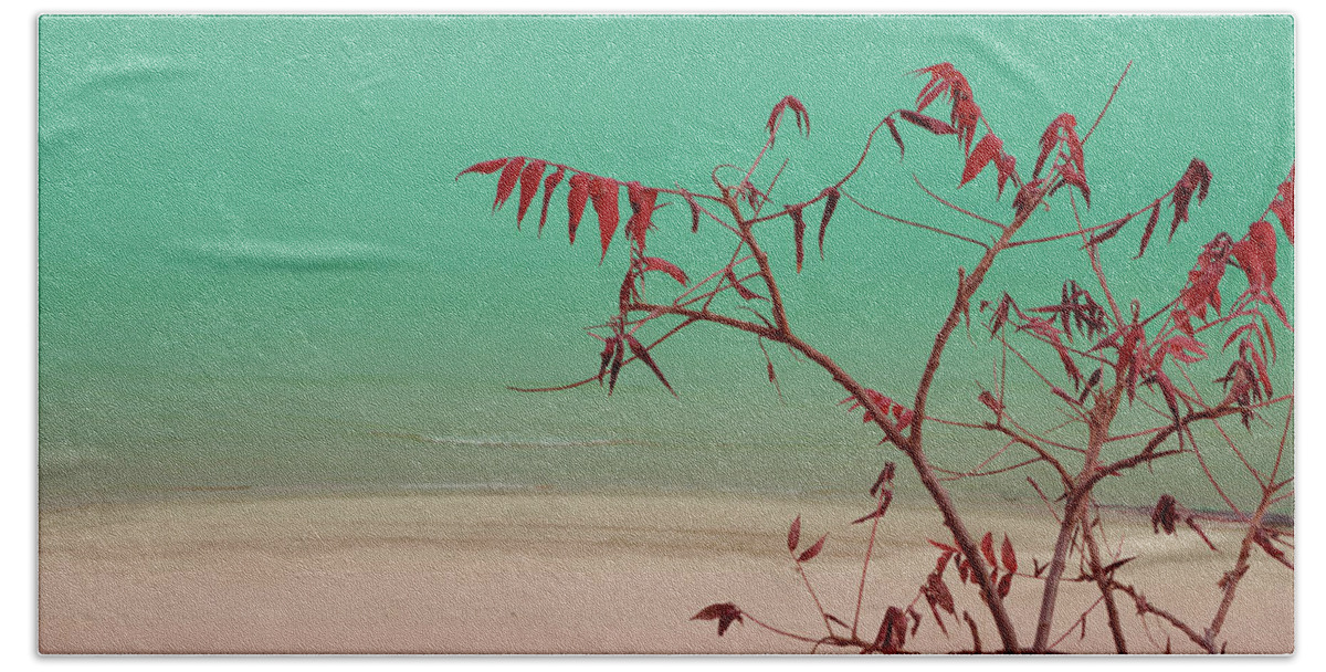 Beach Bath Towel featuring the photograph Tranquil View by Arthur Fix