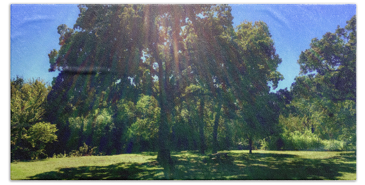 Tree Bath Towel featuring the photograph Tree Bathed in Sun by Doris Aguirre