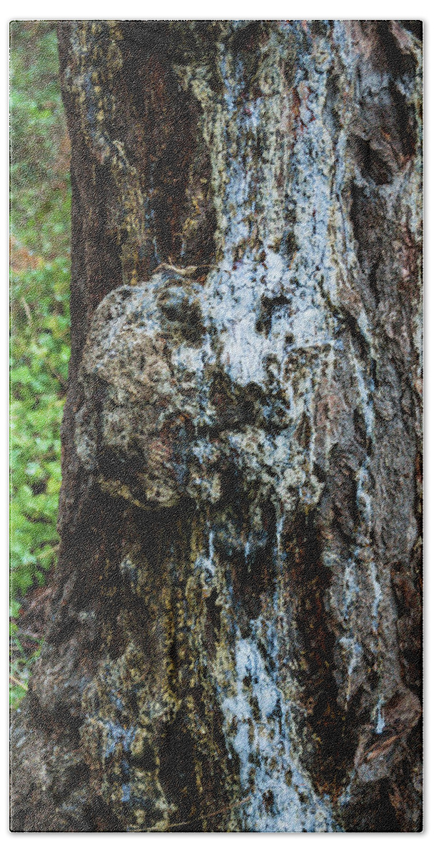 Tree Bath Towel featuring the photograph Tree Feelings 6737 by Tim Dussault