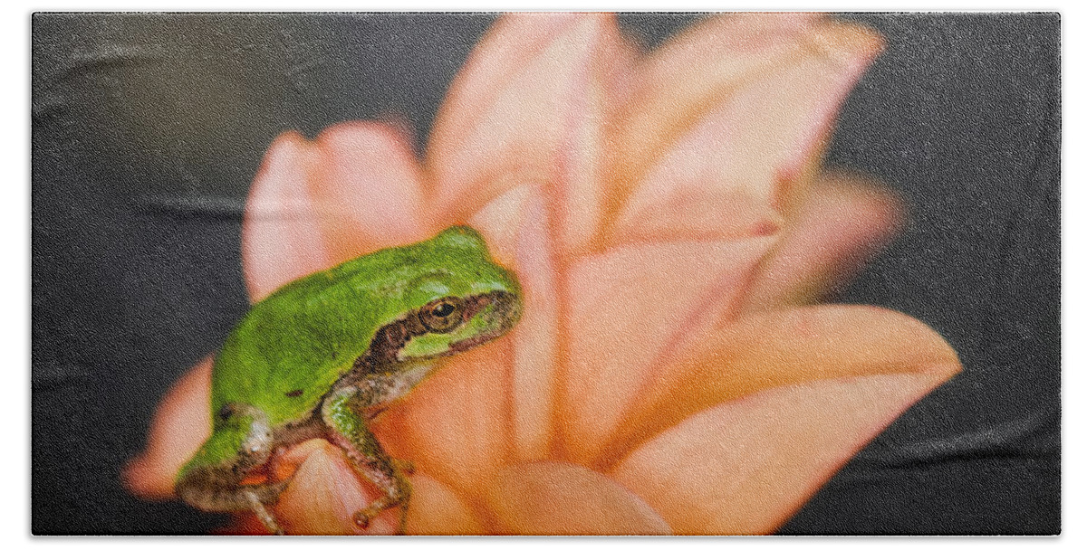 Animals Bath Towel featuring the photograph Tree Frog in the Blossoms by Rikk Flohr