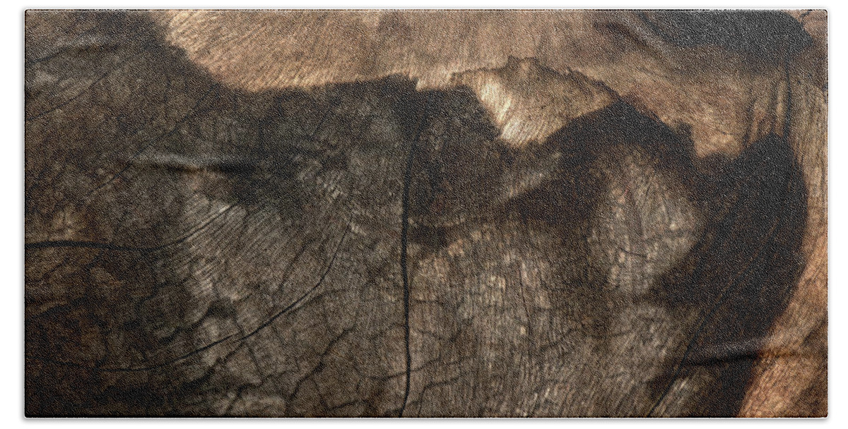 Trees Hand Towel featuring the photograph Tree Memories # 29 by Ed Hall