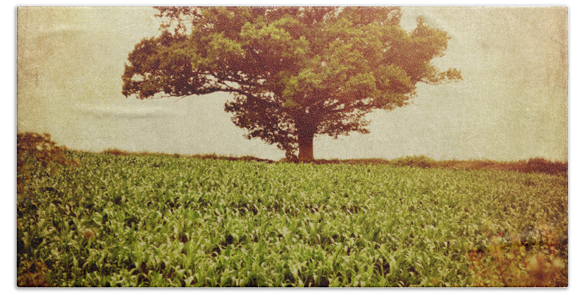 Tree Bath Towel featuring the photograph Tree on edge of field by Lyn Randle