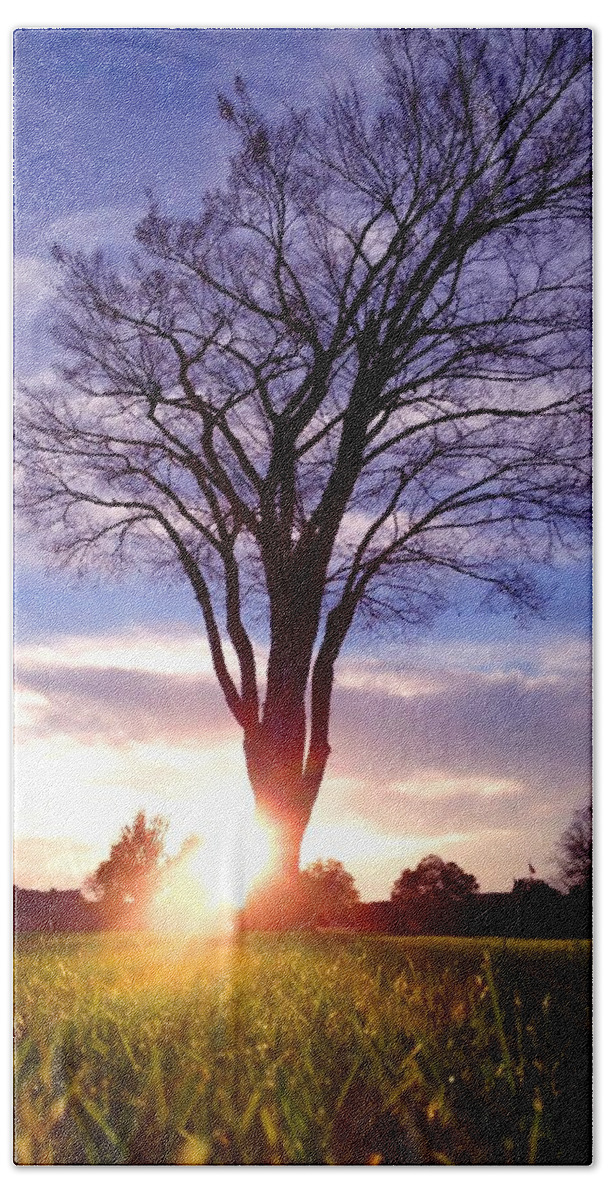 Landscape Hand Towel featuring the photograph Tree Sun Lit by Morgan Carter