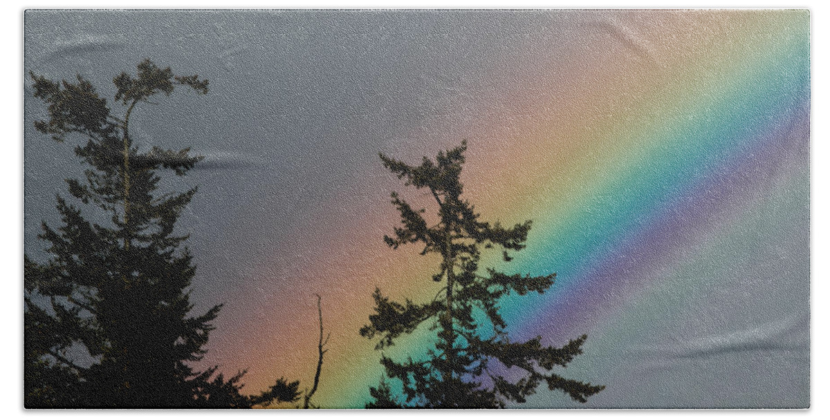 Trees Hand Towel featuring the photograph Tree Tops and a Rainbow by E Faithe Lester
