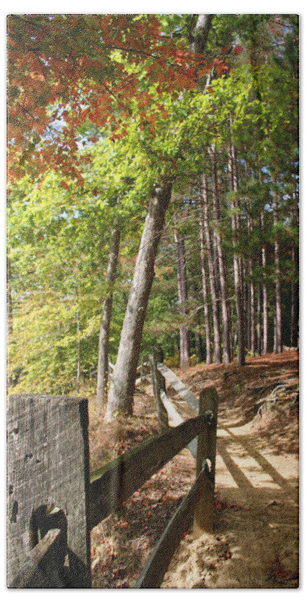 Tree Bath Sheet featuring the photograph Tree Trail by Margie Wildblood