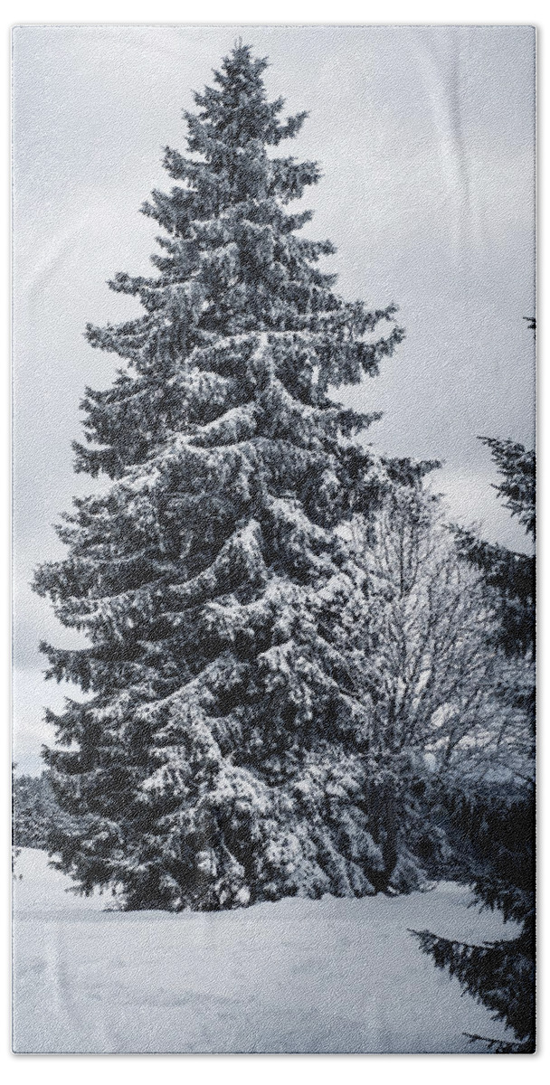 Miguel Bath Towel featuring the photograph Trees and snow by Miguel Winterpacht
