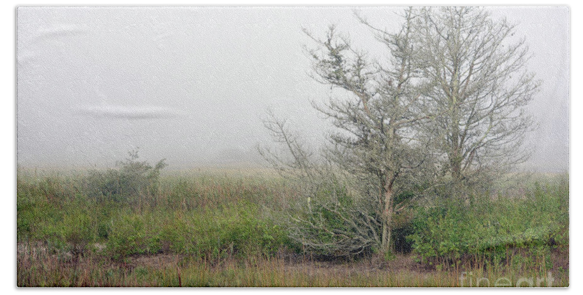 Fall Bath Towel featuring the digital art Trees in Fog by Dianne Morgado