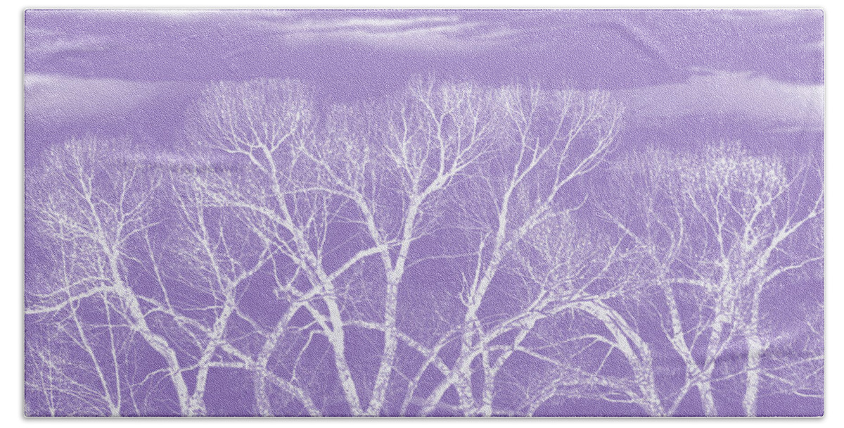 Tree Hand Towel featuring the photograph Trees Silhouette Purple by Jennie Marie Schell