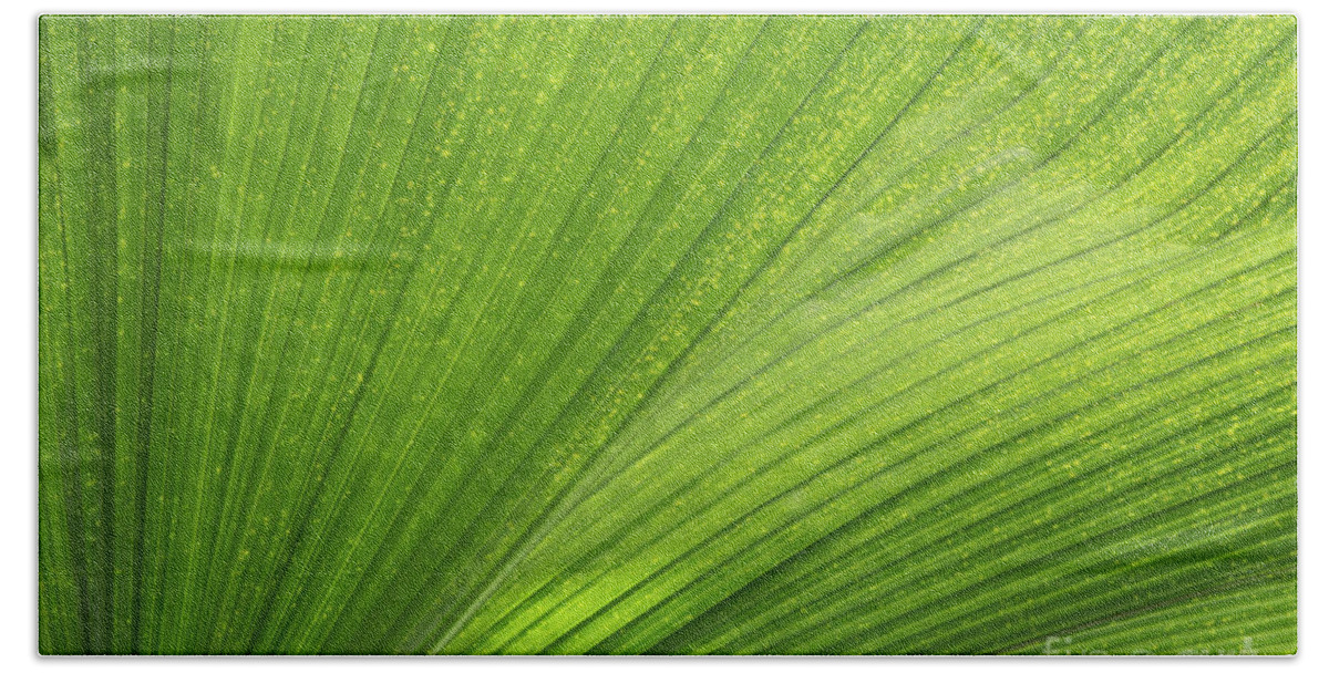 Leaf Bath Towel featuring the photograph Tropical Abstract by Ann Horn