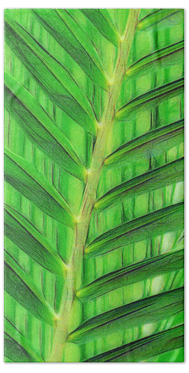 Palm Leaf Hand Towel featuring the photograph Tropical Foliage by Scott Cameron