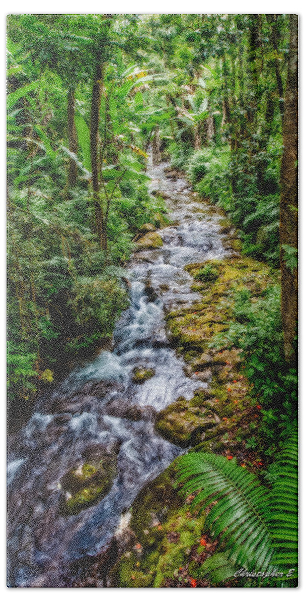Stream Bath Towel featuring the photograph Tropical Forest Stream by Christopher Holmes