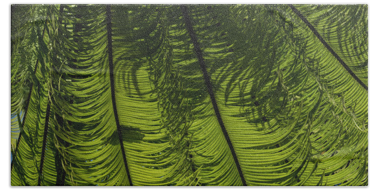 Georgia Mizuleva Bath Towel featuring the photograph Tropical Green Rhythms - Feathery Fern Fronds - Horizontal View Down Right by Georgia Mizuleva
