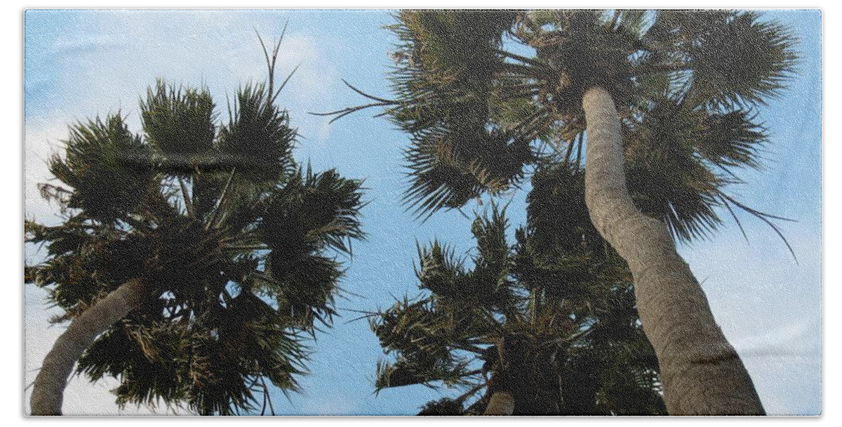 Tree Bath Towel featuring the photograph Tropical Splendor by Glenda Zuckerman